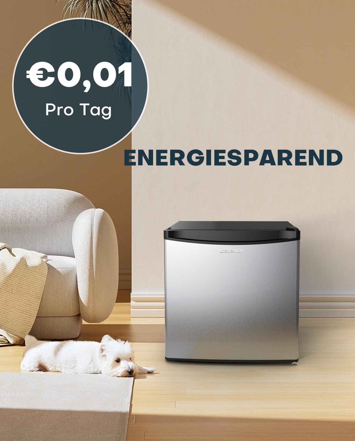Mini Kühlschrank 46L mit Eisfach – Energiesparend, Leise, Edelstahl
